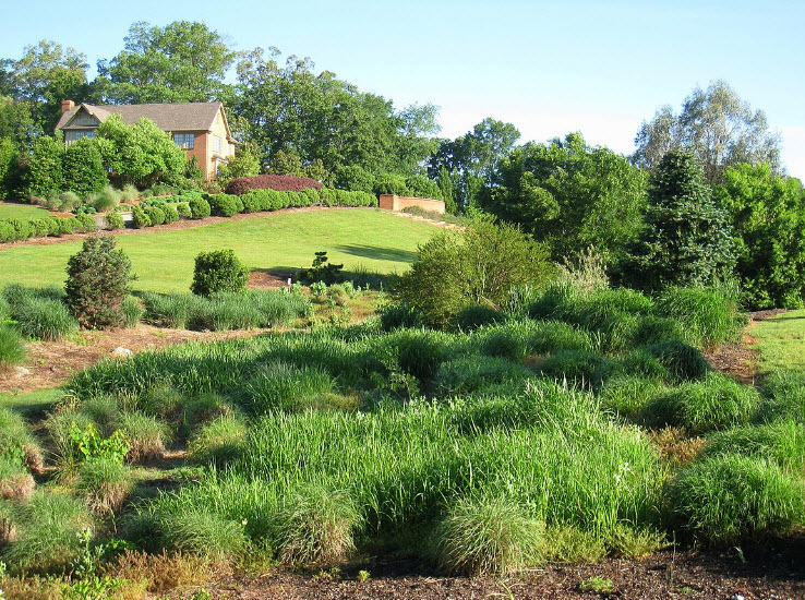 South Carolina Botanical Garden, United States